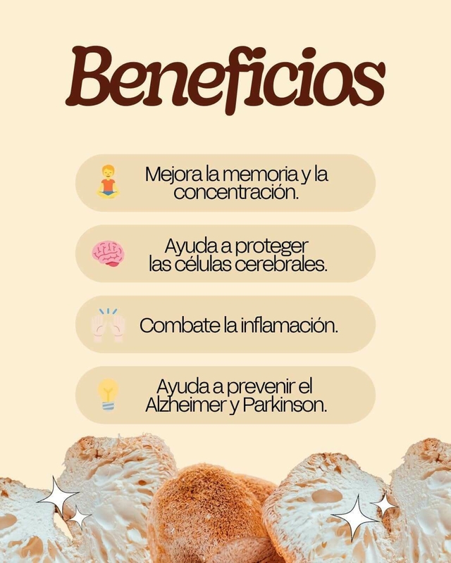 lista de beneficios de la melena de leon